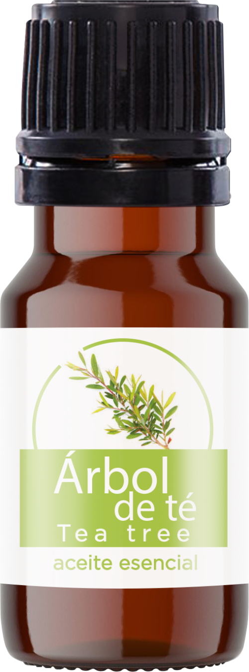 Aceite esencial Árbol de Té