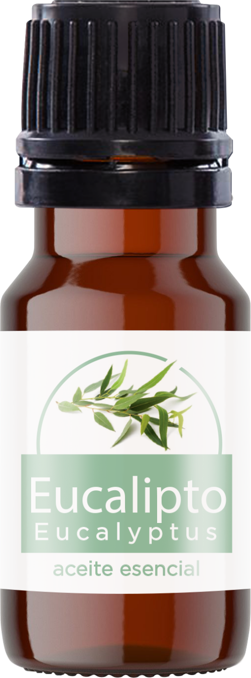 Aceite esencial Eucalipto