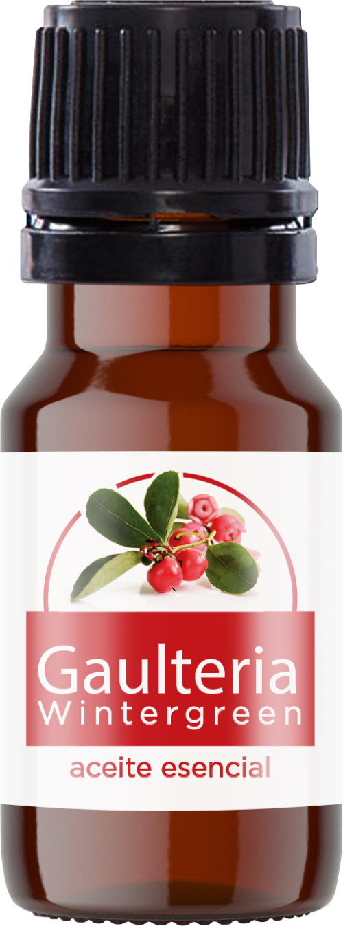 Aceite esencial Gaultería