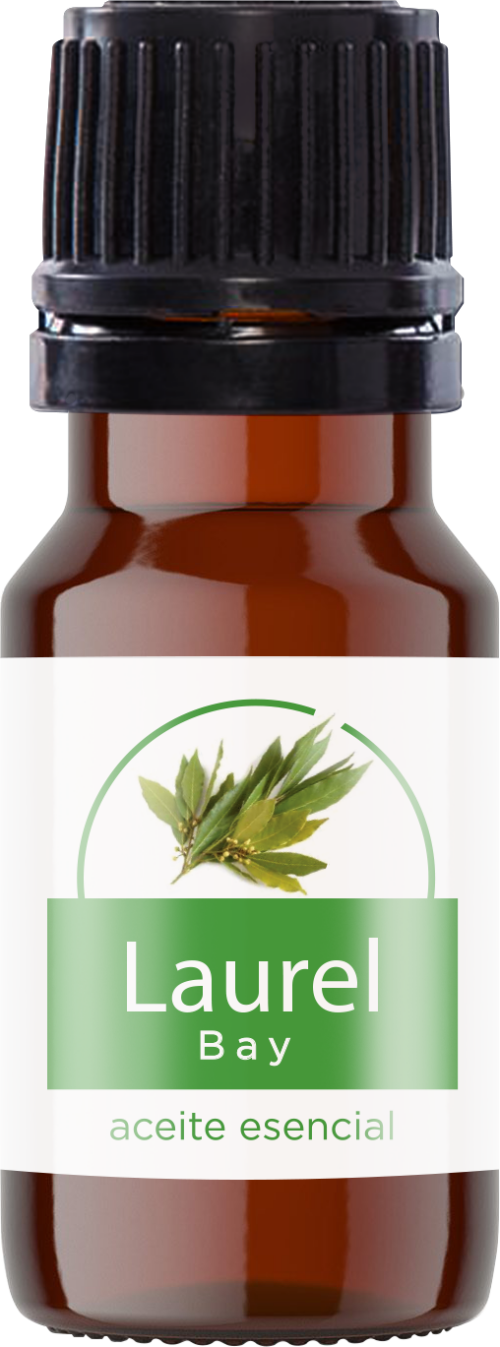 Aceite esencial Laurel